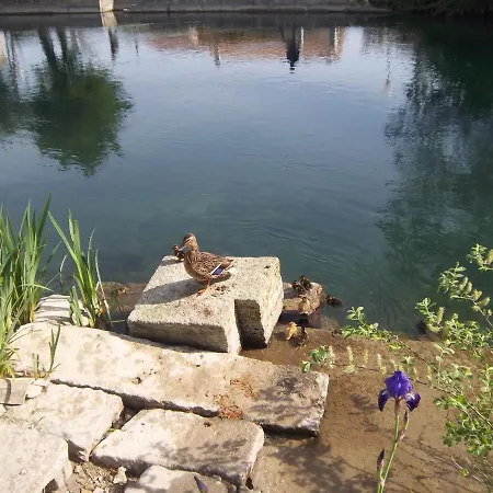 Mas Le Pont des Aubes-2