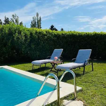 Un coin tropical en Provence !-3